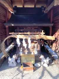 【藤原稲荷神社/東京都】紅白の梅の木が見守る