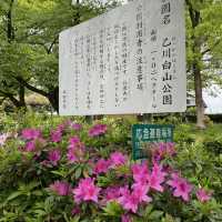 歴史探訪　乙川白山公園