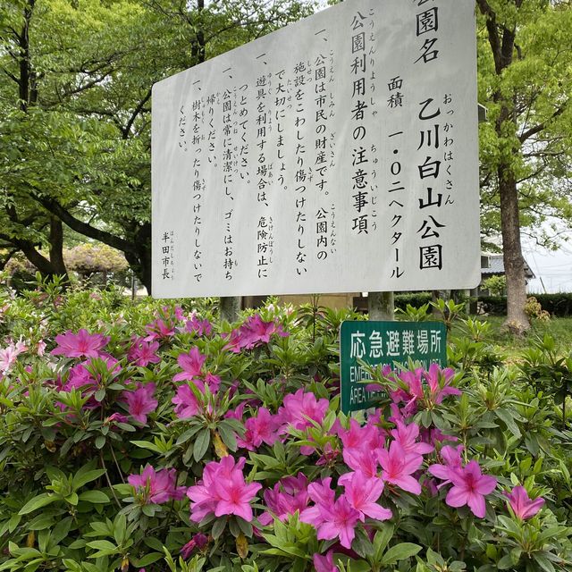 歴史探訪　乙川白山公園
