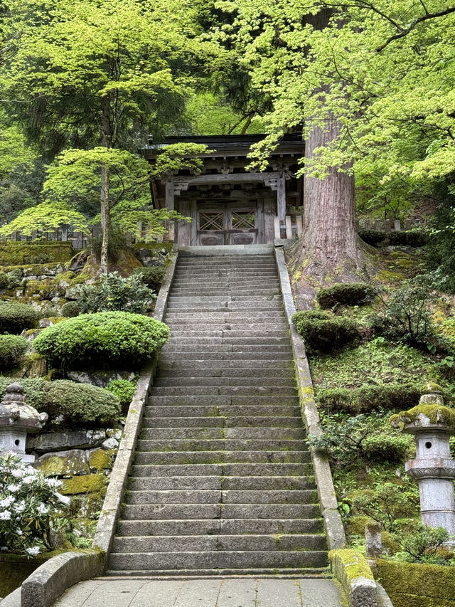 【福井・永平寺】言わずと知れた曹洞宗の総本山