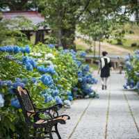 英彥山花園：和洋文化融合，英式鄉村庭院