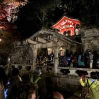 kiyomizu dera illumination 🏮🍁