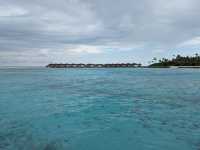 The Maldives-Paradise living with nature
