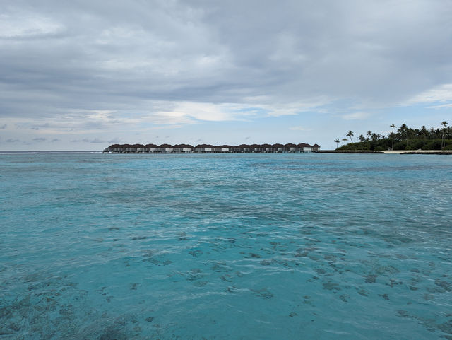 The Maldives-Paradise living with nature