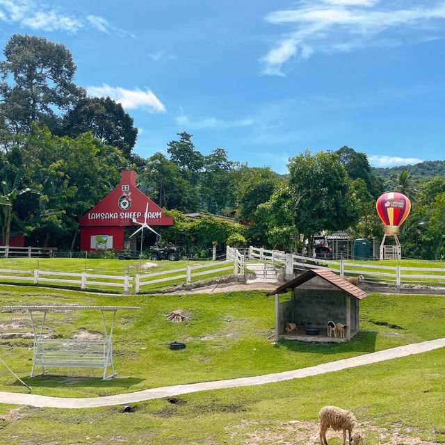 🐑ฟาร์มแกะเข้าฟรีที่นครศรีฯ