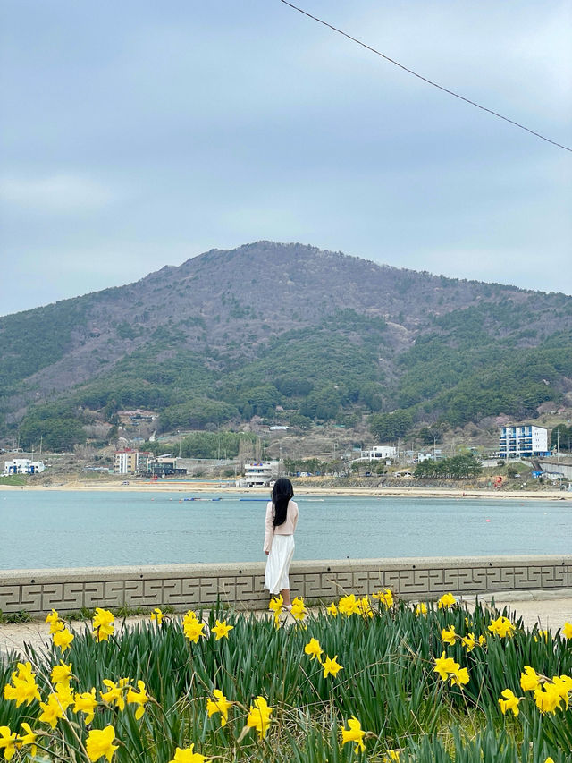 💐거제 공곶이 가신다구요? 이렇게 가지마세요🙅🏻‍♀️
