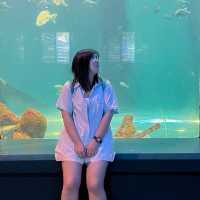 RAYONG AQUARIUM  