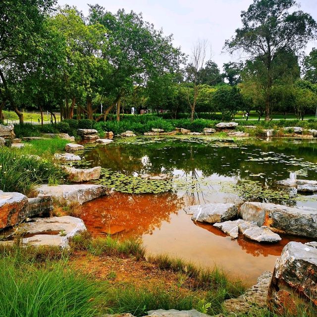 環西麗湖綠道 環西麗湖綠道