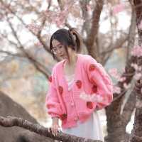 🌸 ซากุระเมืองไทย @ขุนวาง เชียงใหม่