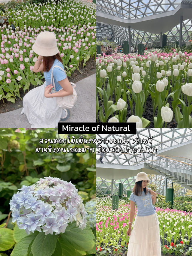 เที่ยวระยอง 2 วัน 1 คืน 🌷🌼🌻