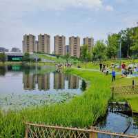 「海心沙亞運公園：自然綠洲」