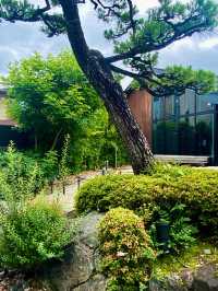 【宇治】平等院：日本國寶級建築物雄偉鳳凰堂