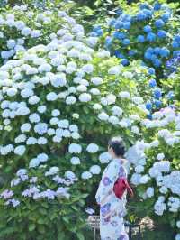 【神奈川】このコラボは全国でも貴重✨今しか見れない無料の映えスポット😍※撮影ポイント付
