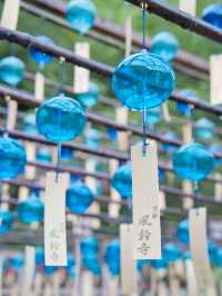 【京都】これからのシーズンに行きたい☀️雨でも映える風鈴スポット訪問完全攻略🎐