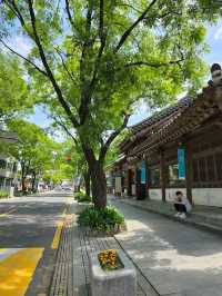 Jeonju Hanok Village
