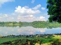 🇸🇬 Lower Peirce Reservoir Park