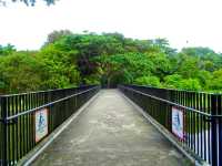 Springleaf Nature Park