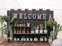 เที่ยวชม cactus ที่ Chan nature cafe 