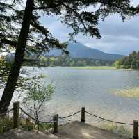 Nice自然公園：寧靜美景，享受快樂時光