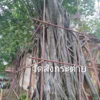ปราสาทตาพรหมเมืองไทย
