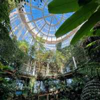 「下賀茂熱帶植物園：熱帶雨林奇景，原始自然之旅」