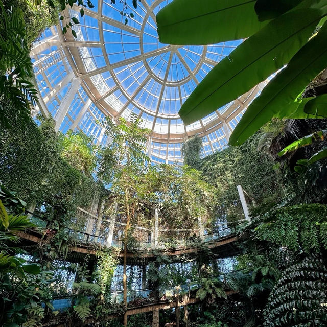 「下賀茂熱帶植物園：熱帶雨林奇景，原始自然之旅」