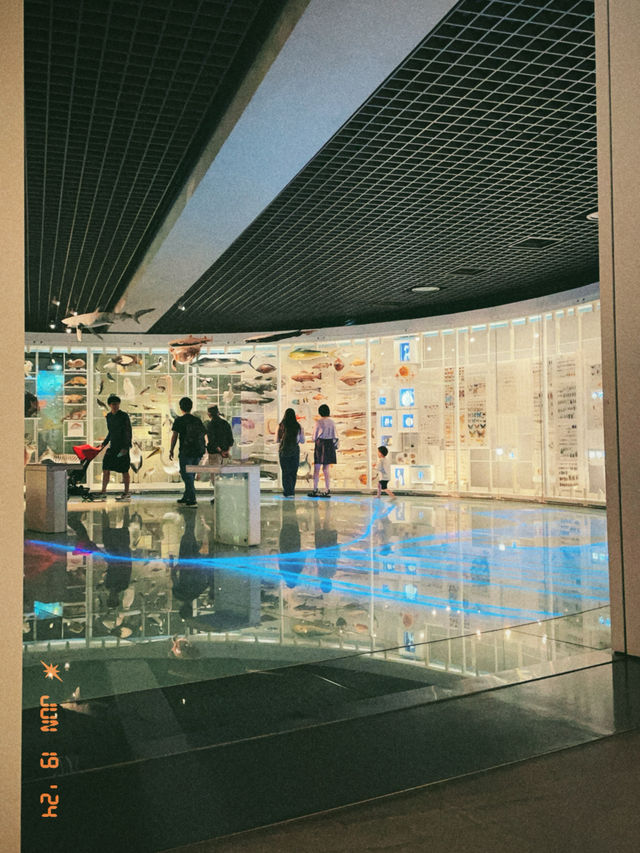 【上野】国立科学博物館の常設展示行ったことある?630円で1日楽しめる