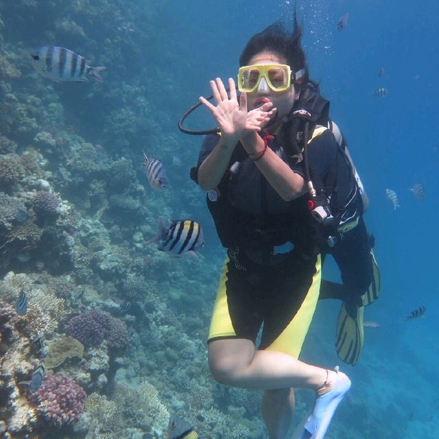 Scuba Diving in Hurghada