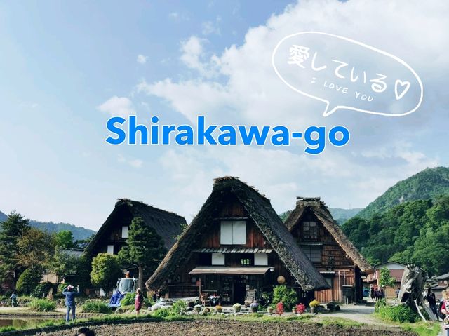 Shirakawa-go in Summer