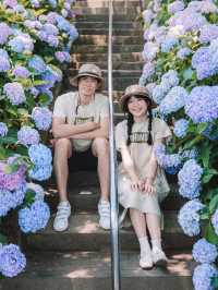 🇯🇵福岡必去糸島半島：ヲベタ清正公堂（糸島あじさい寺） 6/7月或11月最佳