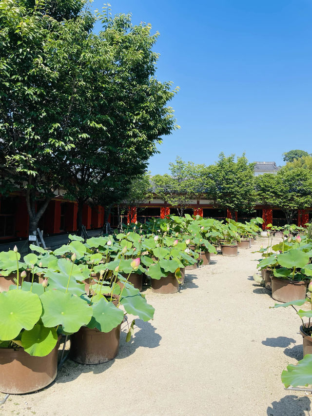 【広島県:しまなみ海道】耕三寺博物館！！