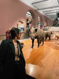 Free Famous Attraction : Kelvingrove Art Gallery and Museum