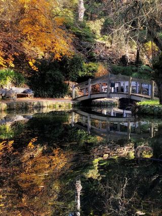 Dandenong