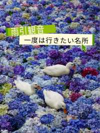 誰もが一度は見たい水中華🥰💠💐圧巻の紫陽花演出は必見！