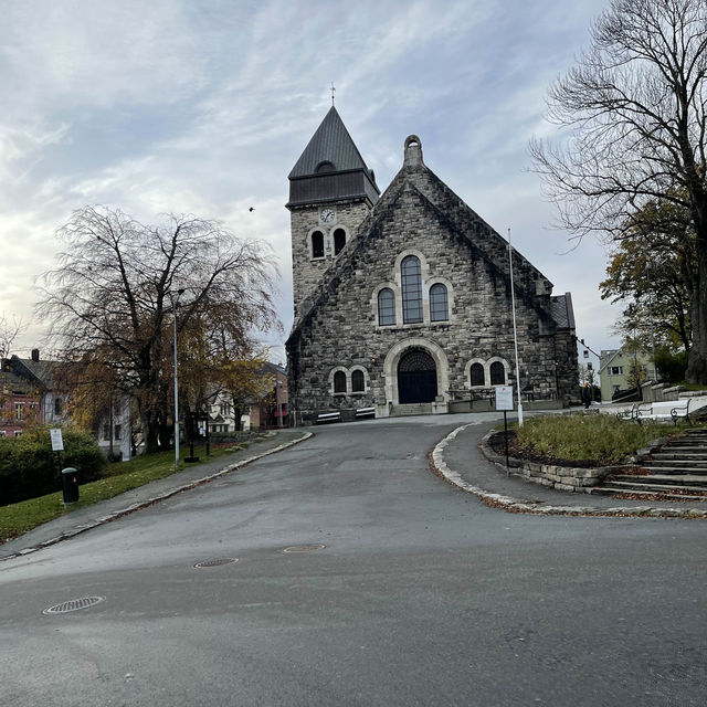 ノルウェー🇳🇴オーレスン