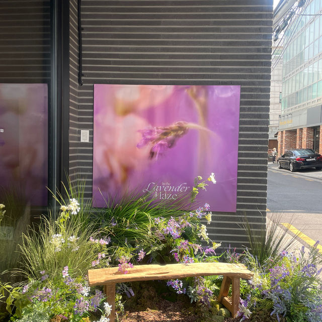 カロスキルにあるAROMATICAの店舗🤍✨
