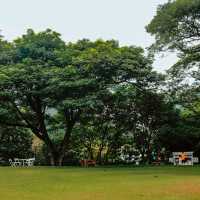 🌳คาเฟ่ในสวน บรรยากาศดี @กาญจนบุรี