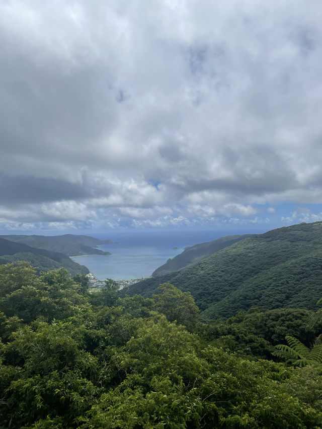 奄美大島　奄美十景に選ばれる展望台🌊