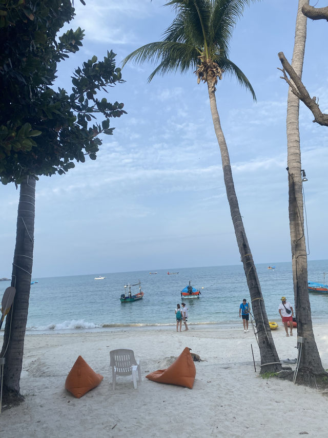 🌺 Stunning Koh Phangan,Surat Thani 