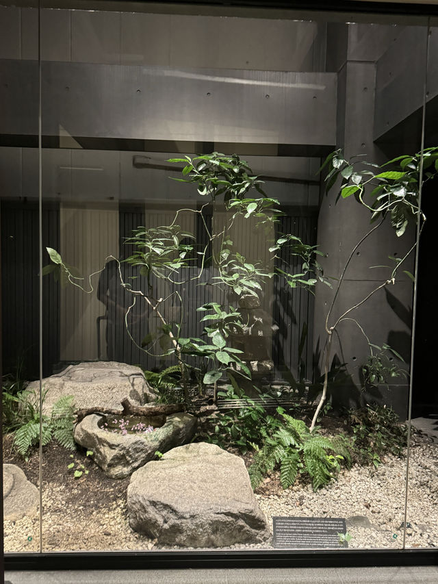 〜京都府〜三井ガーデンホテル別邸