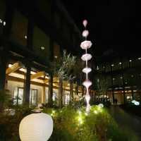 【京都】夜のアートさんぽ🌙2,000円以内で楽しむプラン