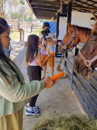 แลนด์มาร์คเขาใหญ่ Rancho Charnvee