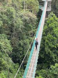 Danum Valley Conservation Area
