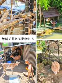 【大分】フォトジェニック「湯布院 フローラルヴィレッジ」
