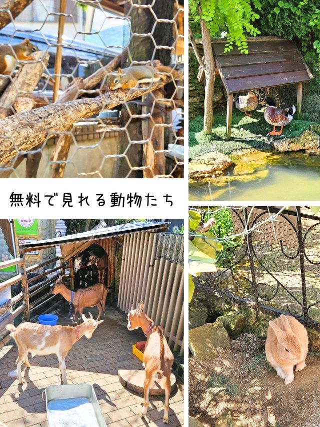 【大分】フォトジェニック「湯布院 フローラルヴィレッジ」