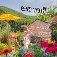 เฌอ คาเฟ่ ฟีลเขาใหญ่ ณ สงขลา 🌳