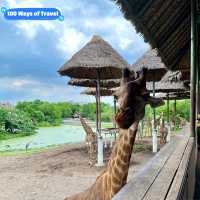 Thrills and Wildlife: Our Epic Day at Thailand’s Safari World