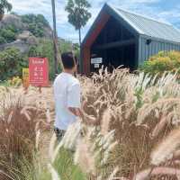 Bamp : beach & cafe @หัวหิน