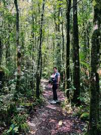 A Walk To Remember: Breathtaking Kinabalu