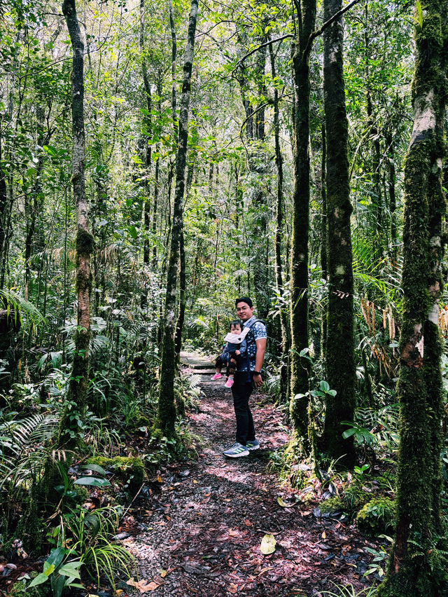 A Walk To Remember: Breathtaking Kinabalu